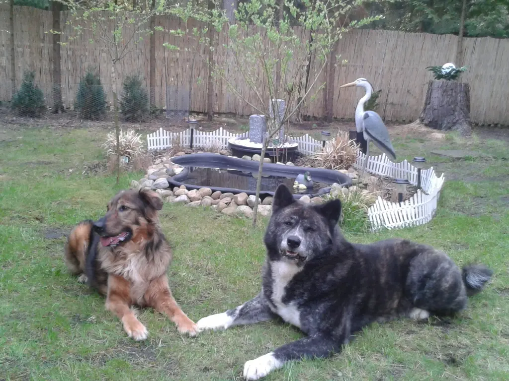 Condolence image of Unbekannt