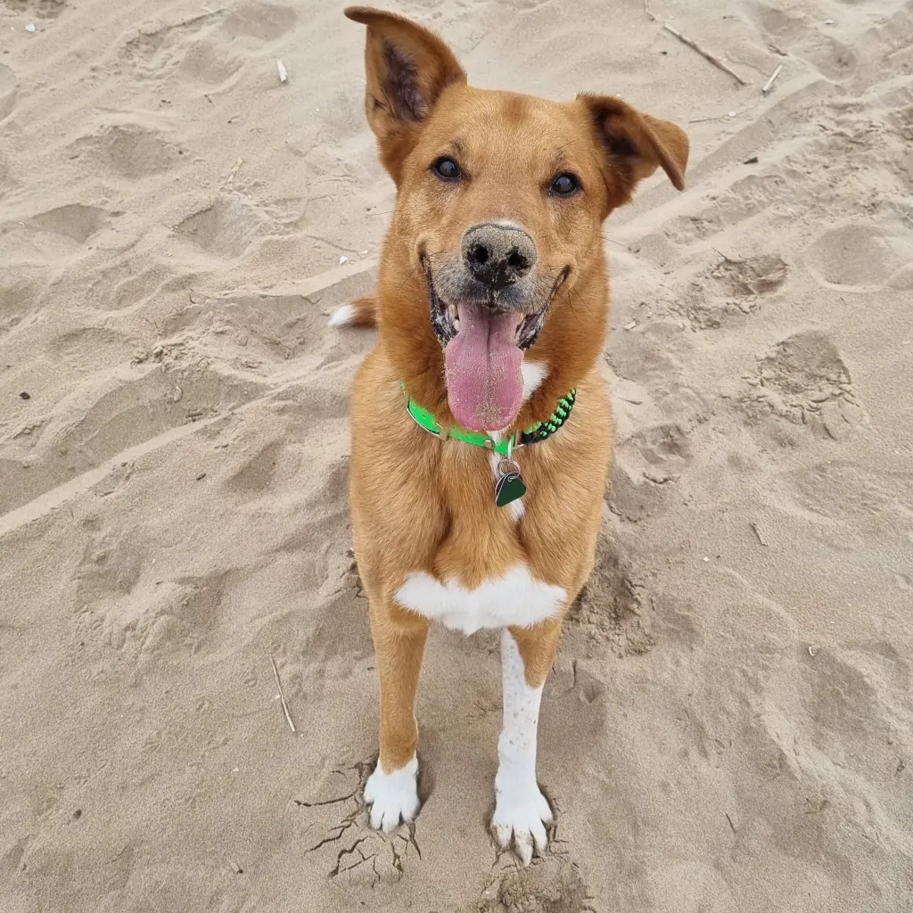 Condolence image of Carmen