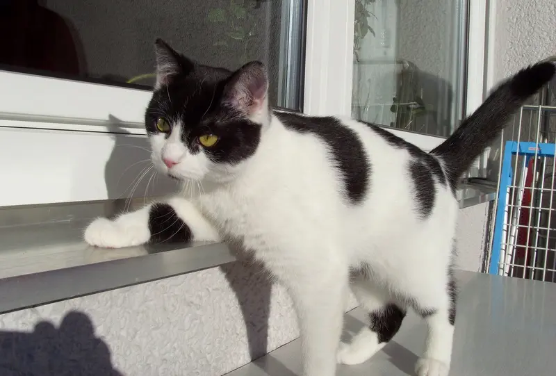 Condolence image of Unbekannt