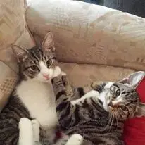 Condolence image of Julia