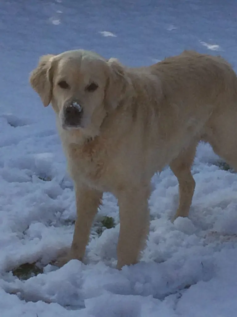 Condolence image of Andy und Piet