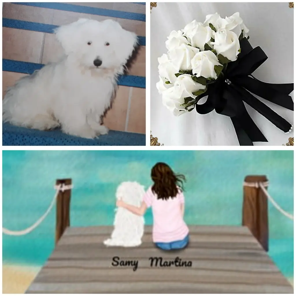 Condolence image of Martina mit Seelenhund Samy ♥️⭐♥️ für immer im Herzen 