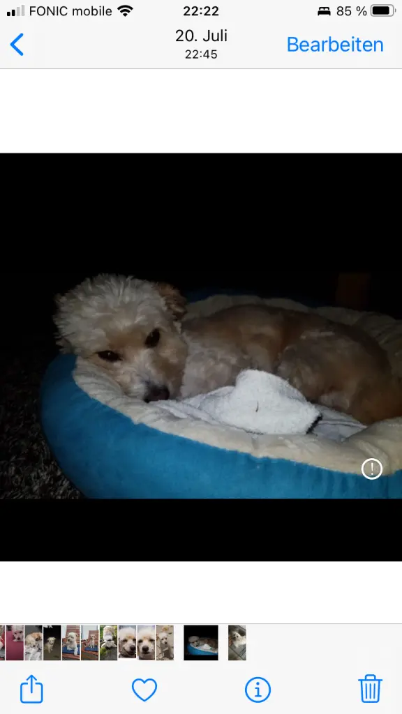 Condolence image of Christiane