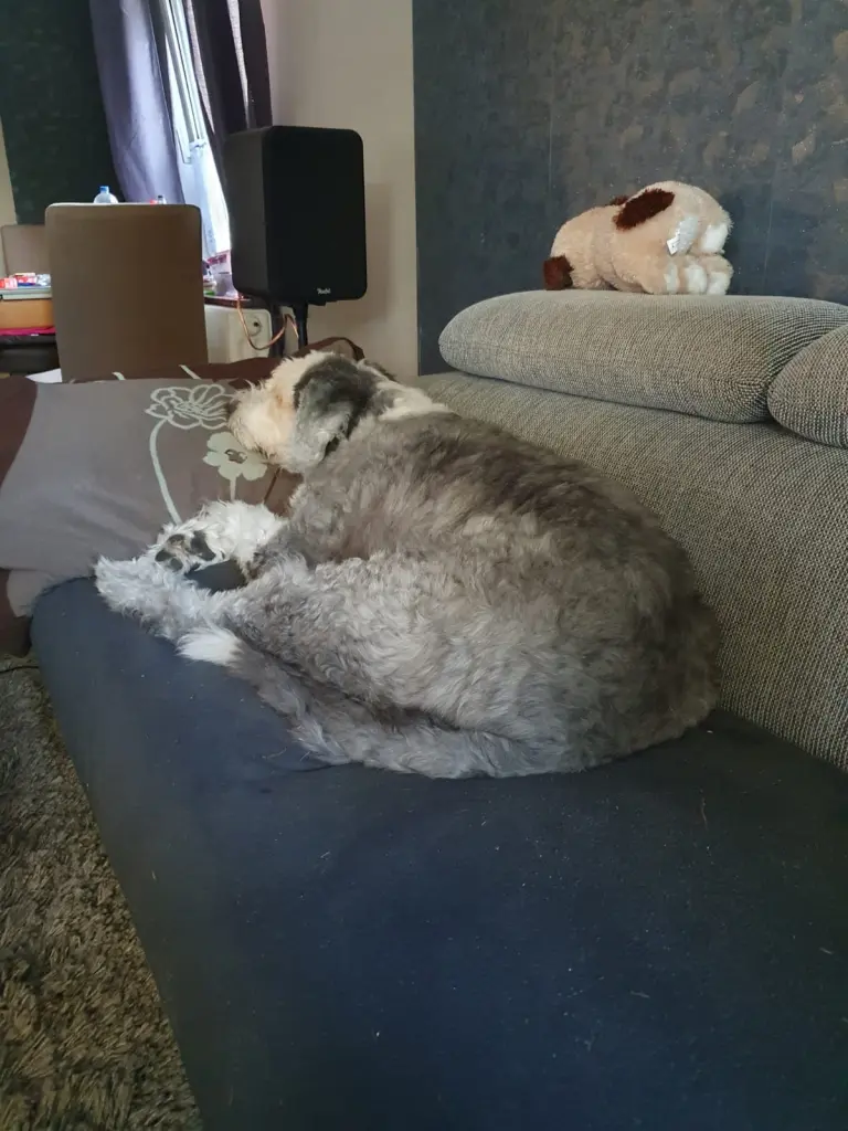 Image from Bobby