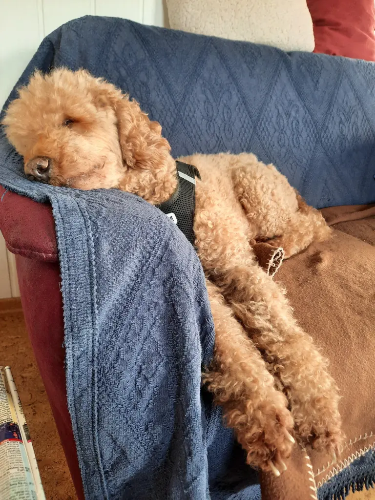 Condolence image of Uka