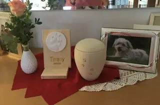 Condolence image of Christiane 