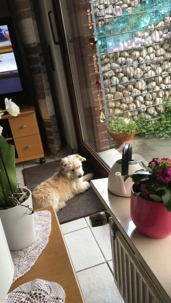 Condolence image of Christiane 