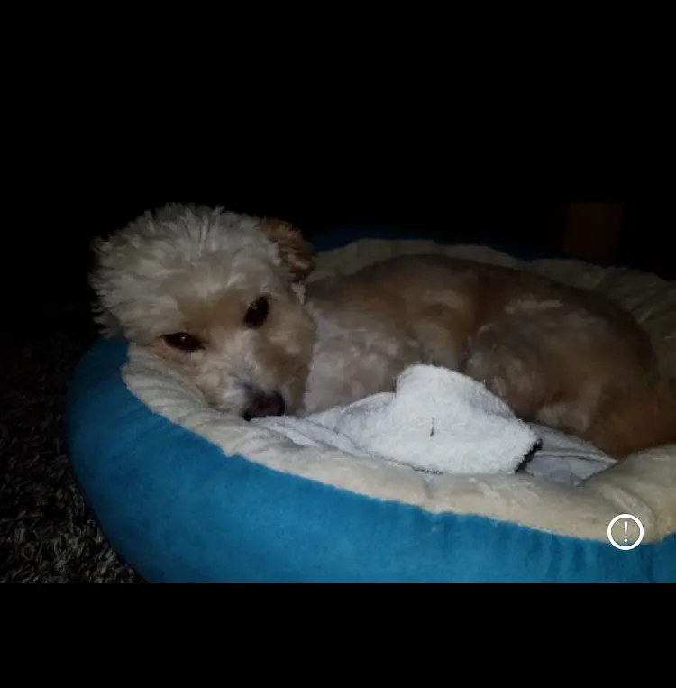 Condolence image of Christiane 