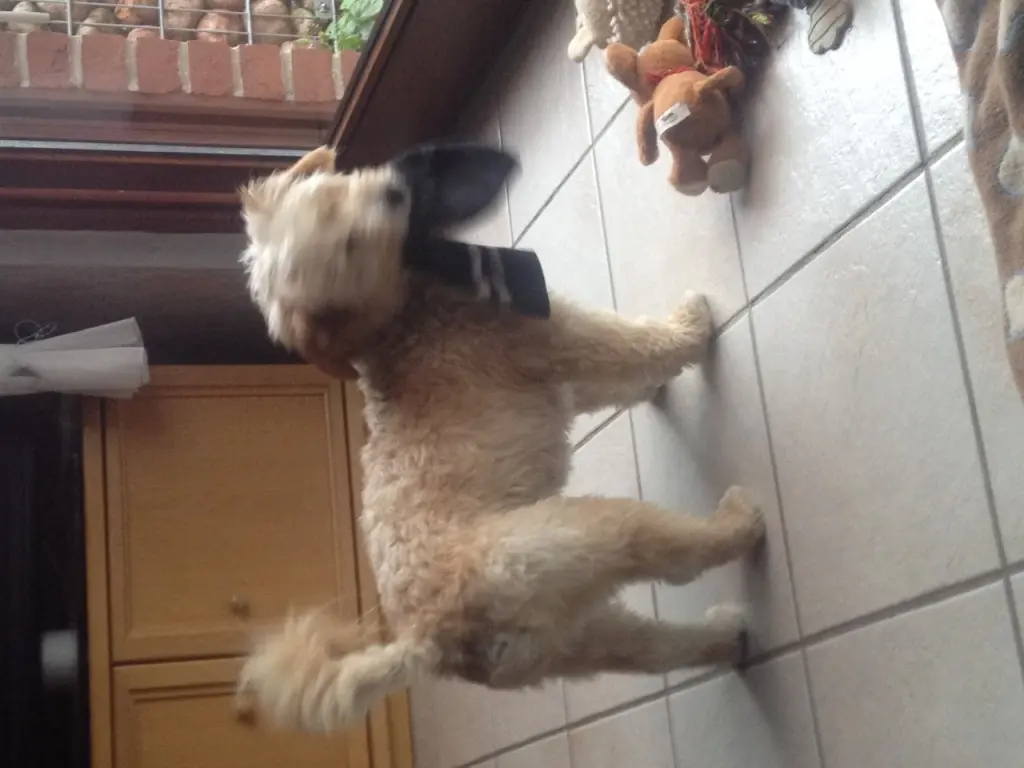 Condolence image of Christiane 