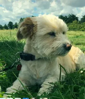 Condolence image of Christiane 