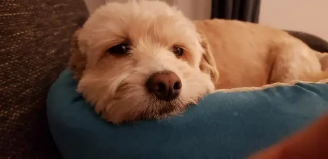 Condolence image of Christiane 