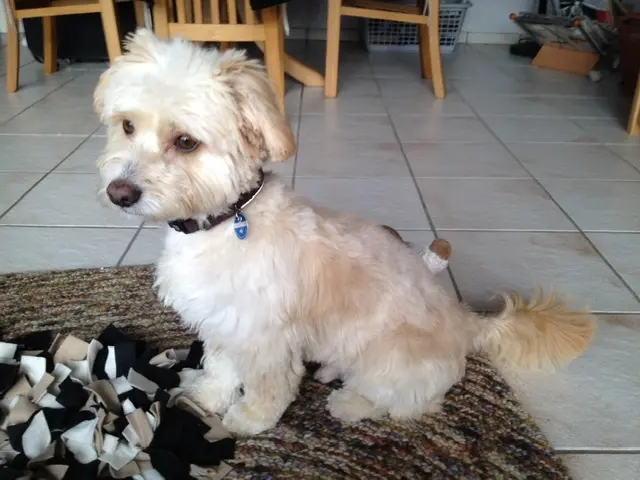 Condolence image of Christiane 