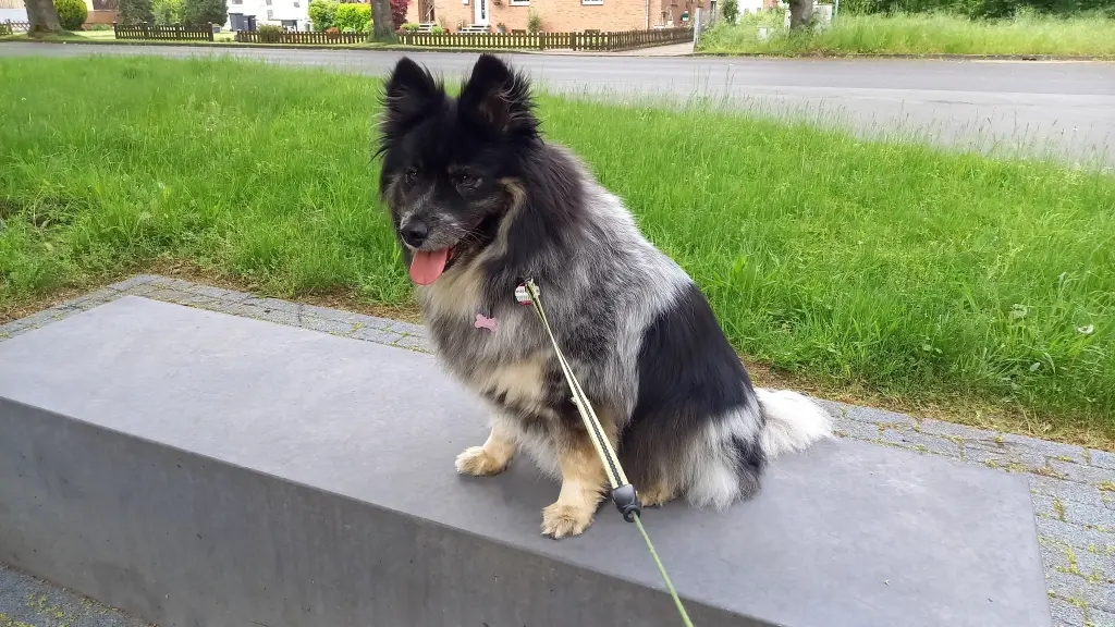 Condolence image of Birgit 