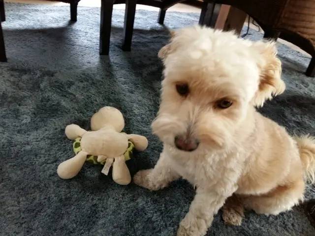 Condolence image of Christiane 