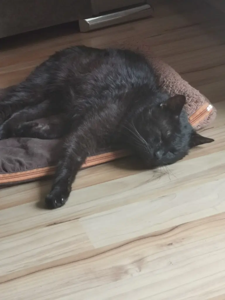 Image from Flori und Trixie