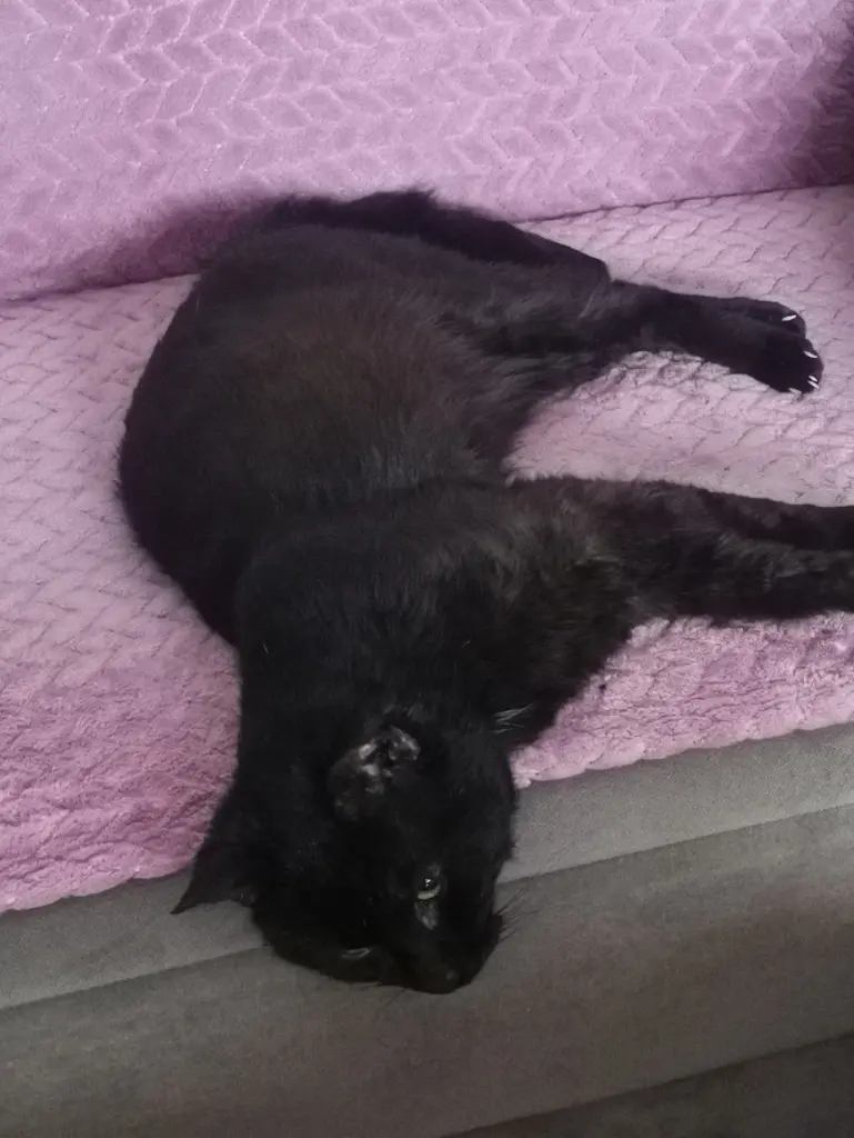 Image from Flori und Trixie