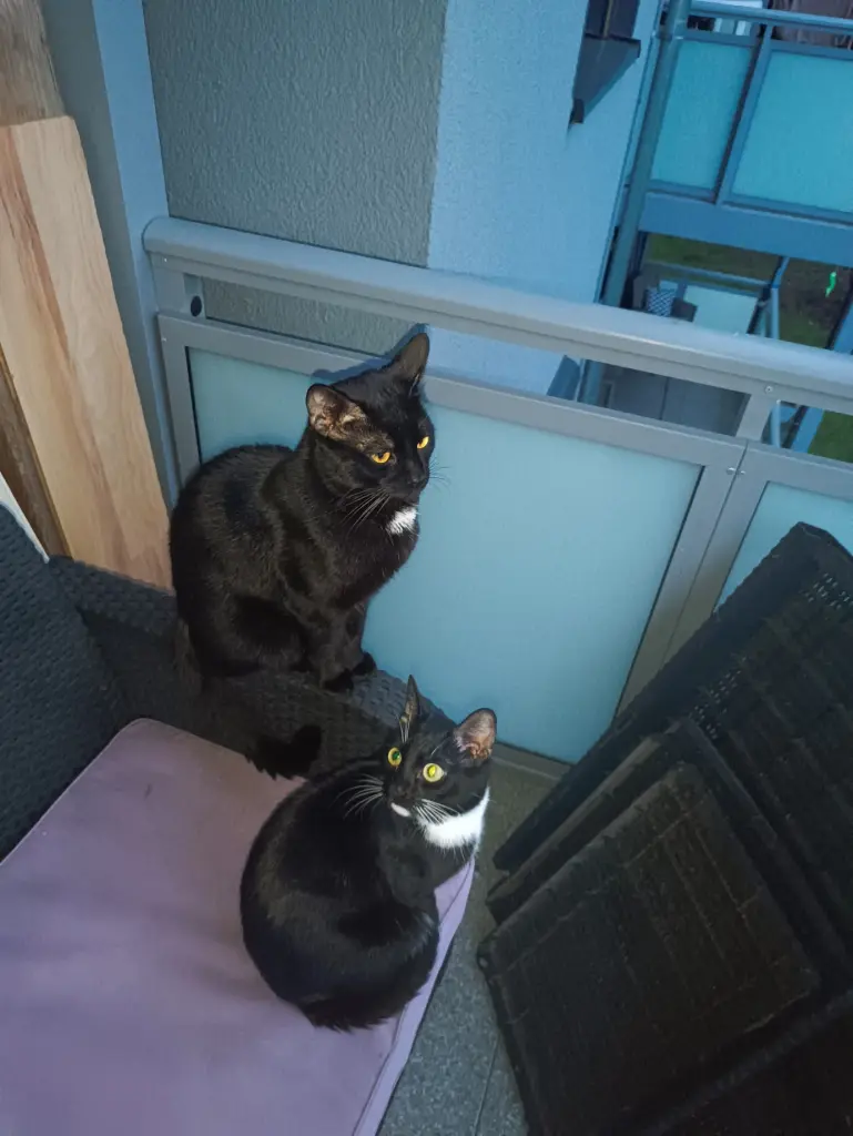 Image from Flori und Trixie