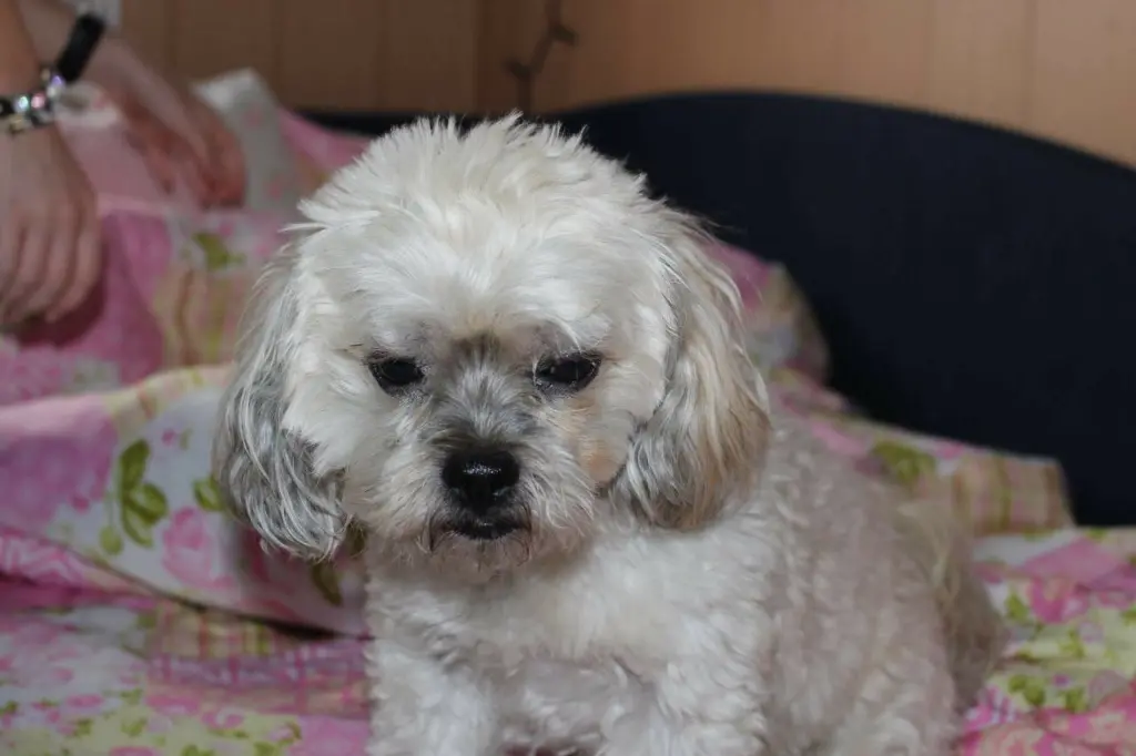 Condolence image of Katrin und Andreas