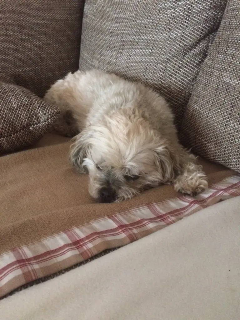 Condolence image of Katrin und Andreas 