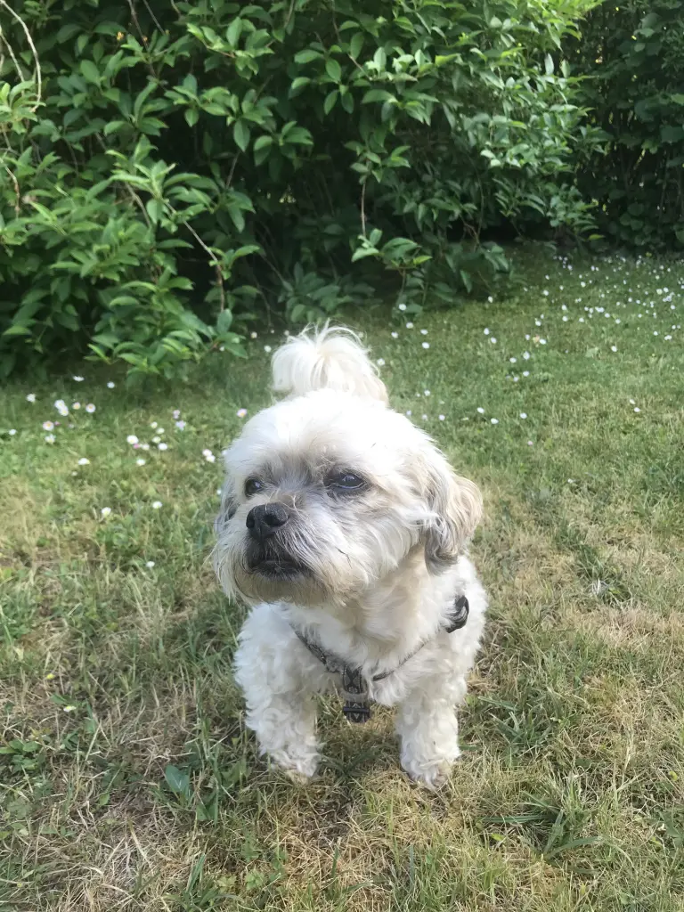 Condolence image of Katrin und Andreas