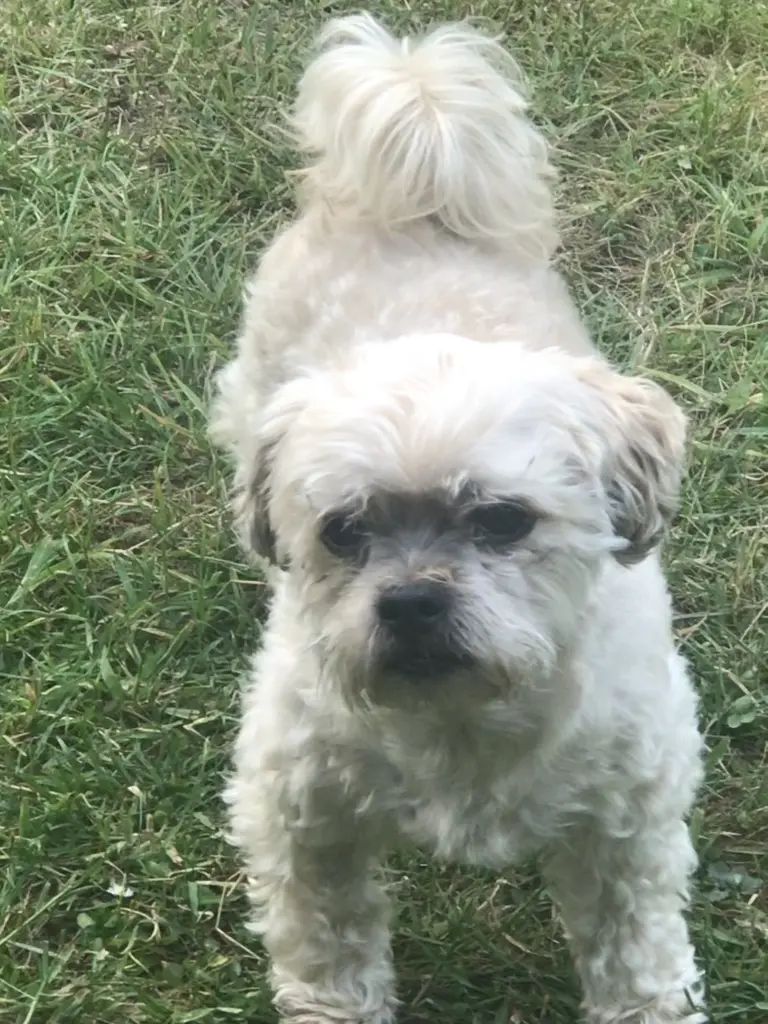 Condolence image of Katrin und Andreas
