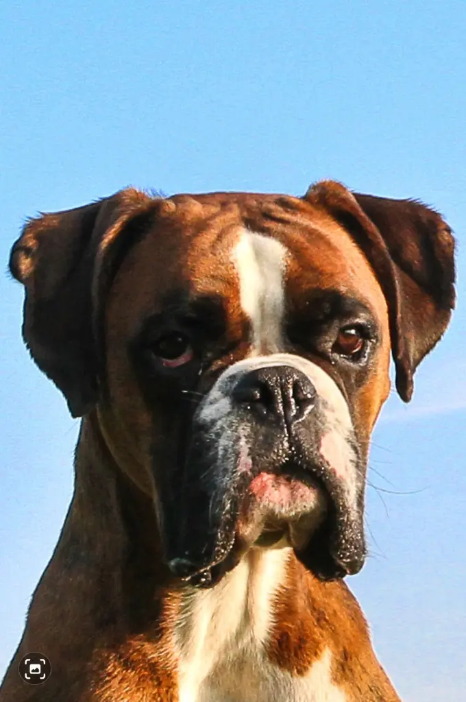 Condolence image of Karina und Jörg mit Floyd im ❤ 