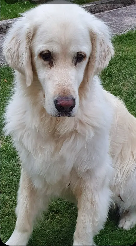 Condolence image of Gerdi Jantzen