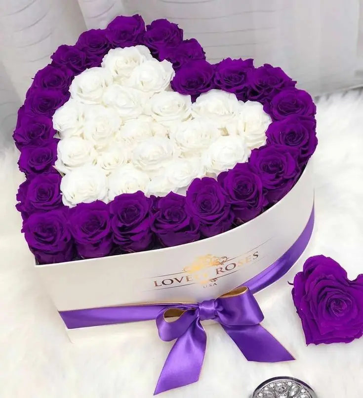 Condolence image of Für die geliebte Fellnase Cayenne ♥️⭐♥️