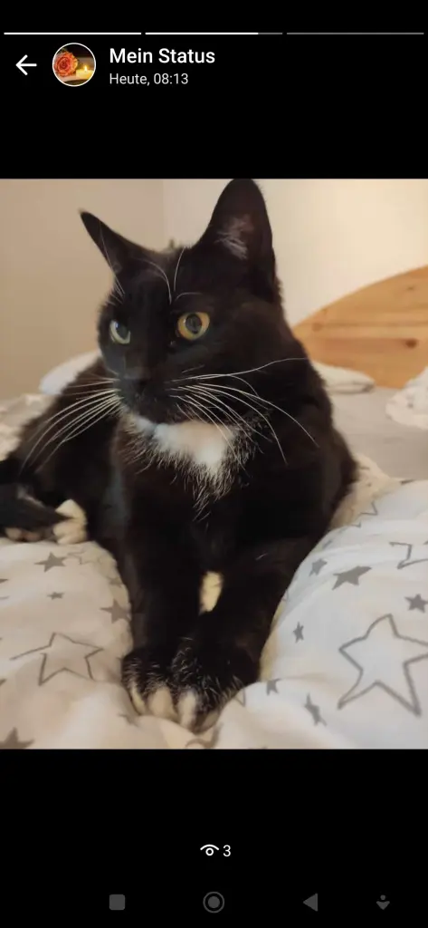 Condolence image of Monika  Ponanta 