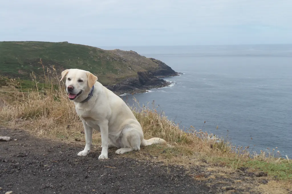 Condolence image of Claudia