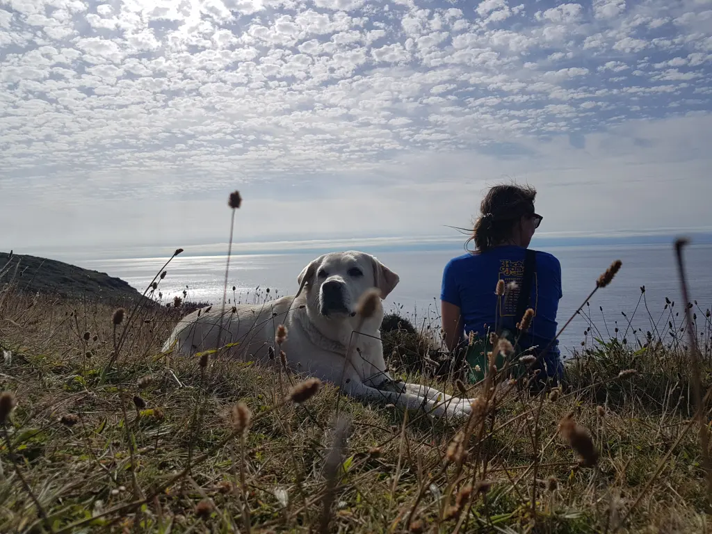Condolence image of Claudia mit Amy im Herzen