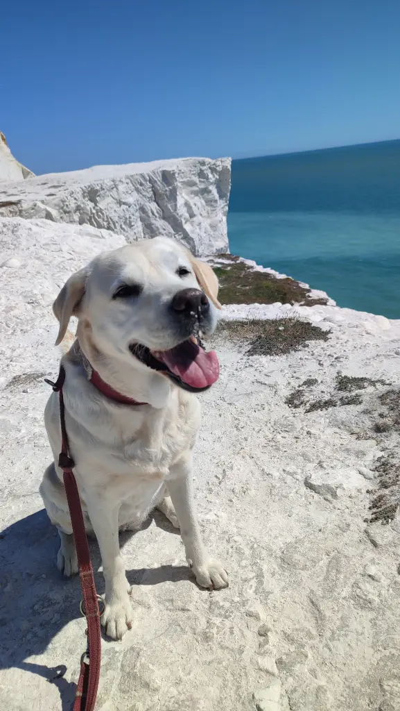 Condolence image of Claudia und Christian