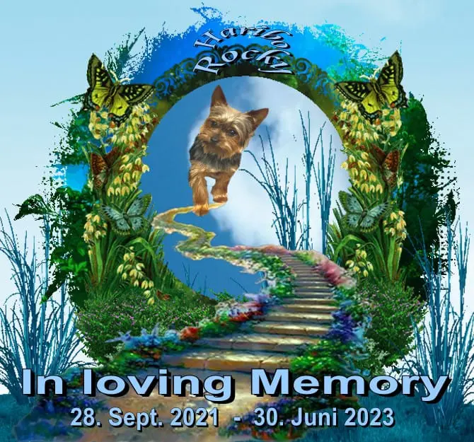 Andachtsbild von Mangrela