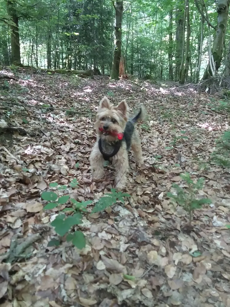 Andachtsbild von Elke mit Socke im Herzen
