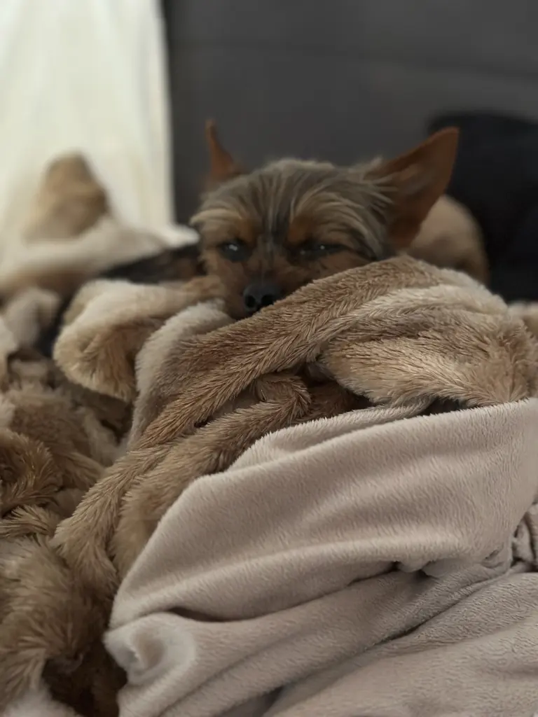 Andachtsbild von Sabrina 