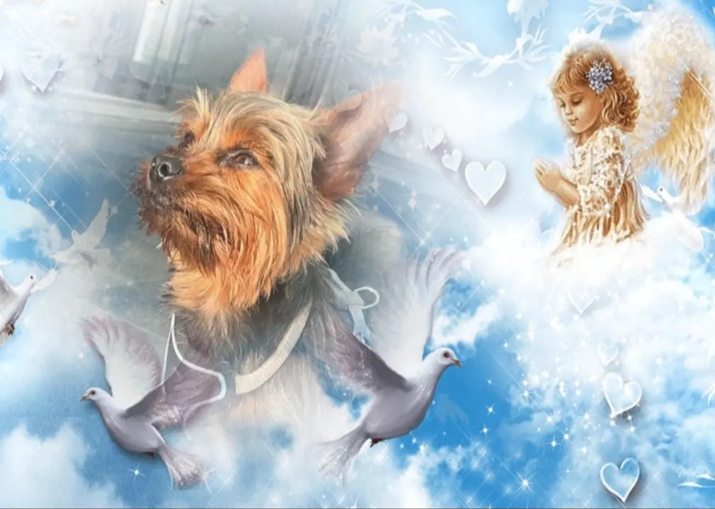 Andachtsbild von Unbekannt