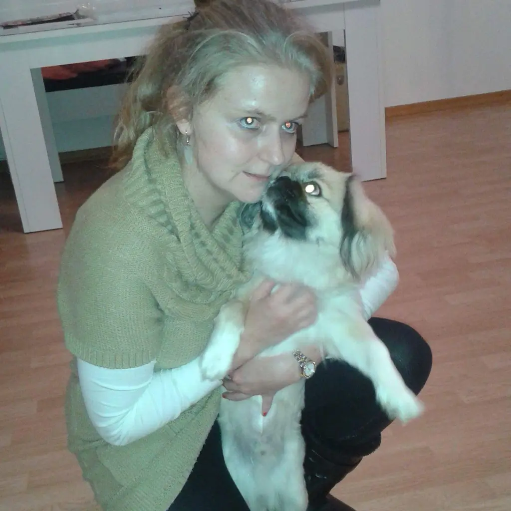Image from Djak