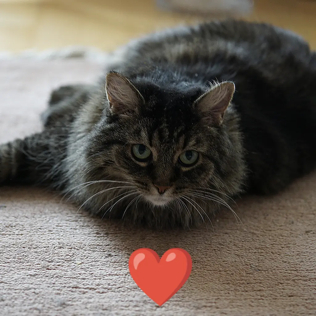 Condolence image of Nicole 