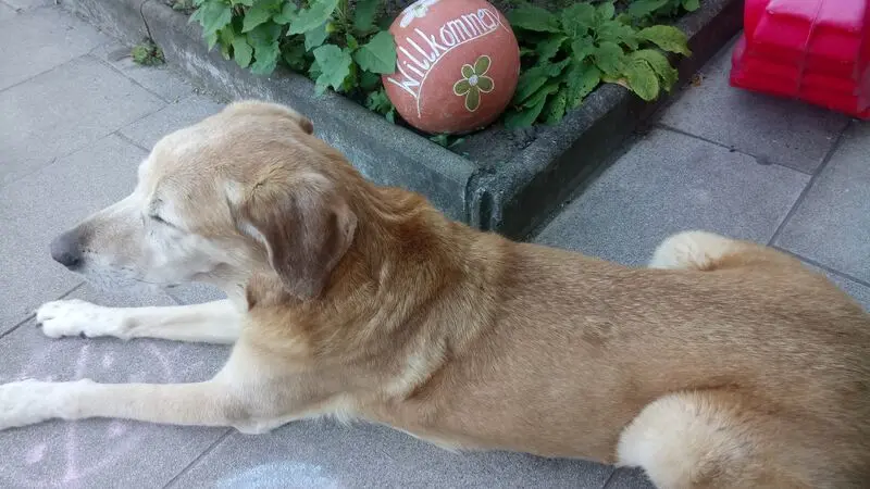 Condolence image of Erika mit Valentina *01.10.2009+18.04.2023