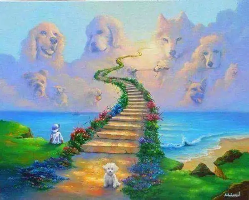 Condolence image of Birgit