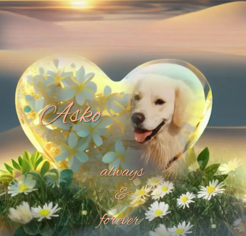 Condolence image of Claudia mit ASKO❤️ 