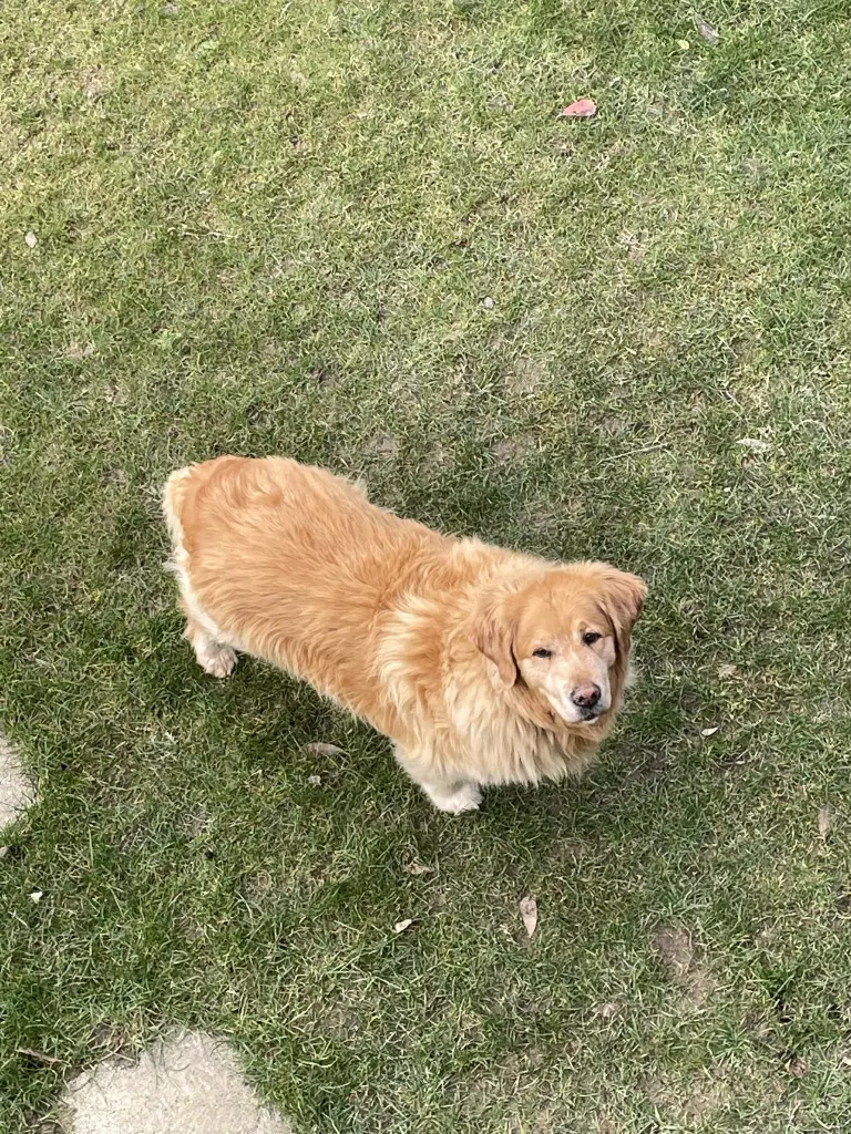 Condolence image of Angelika mit Luna von ❤️ + 02.03.2023