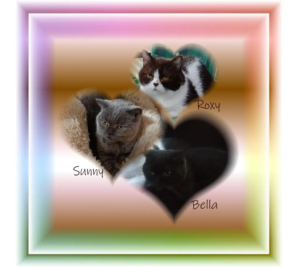 Condolence image of Lydia