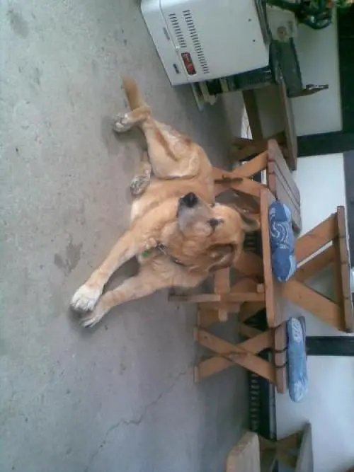Image from Balou