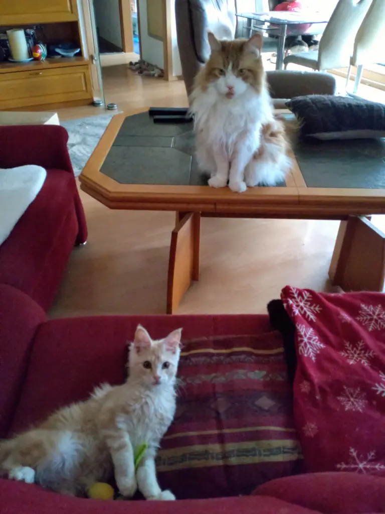 Condolence image of Nathalie  Guy