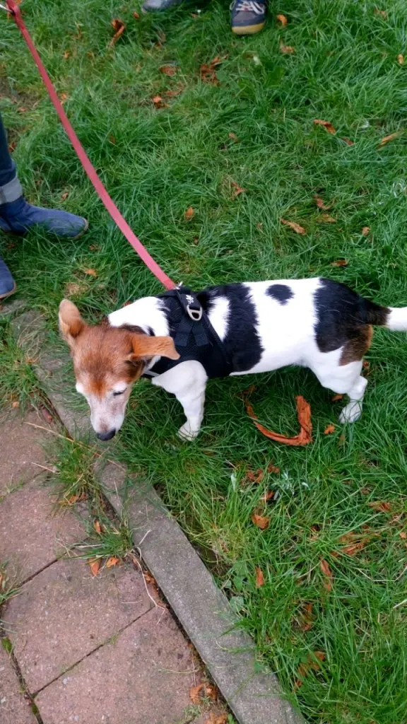 Condolence image of Kerstin