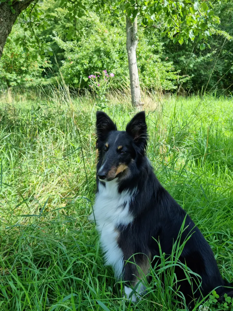 Condolence image of Ute