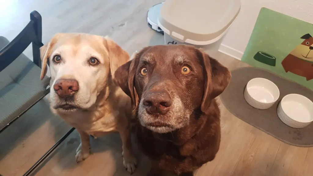 Condolence image of Kerstin