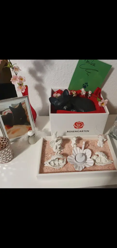 Image from Mika