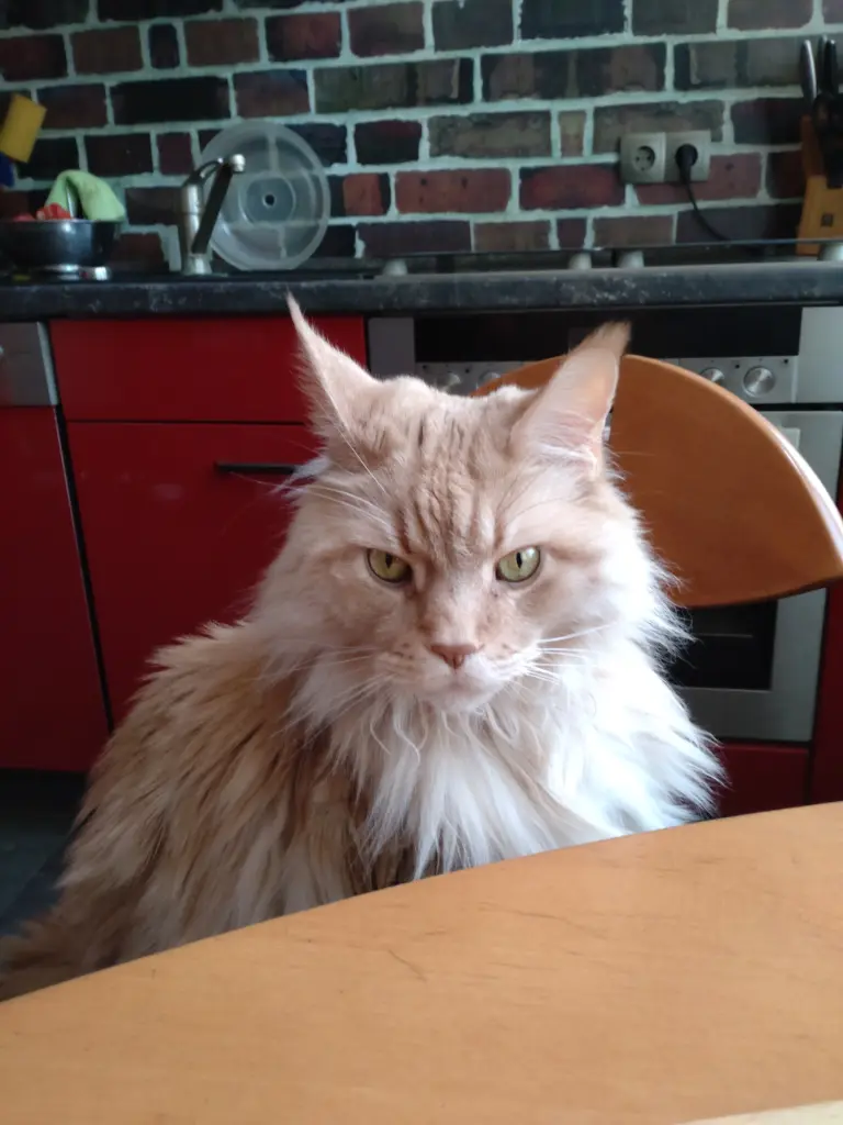 Condolence image of Nathalie  Guy